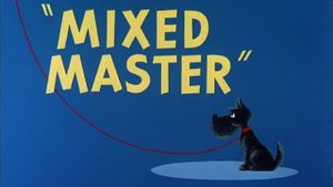 Mixed Master's poster