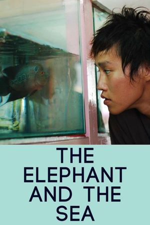 The Elephant and the Sea's poster