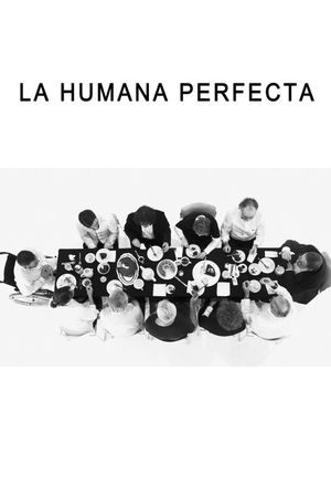 The Perfect Human's poster