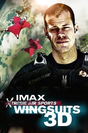 Wingsuit Warrior's poster