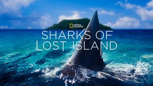 Sharks of Lost Island's poster