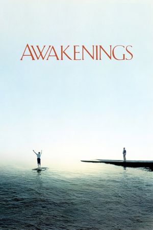 Awakenings's poster