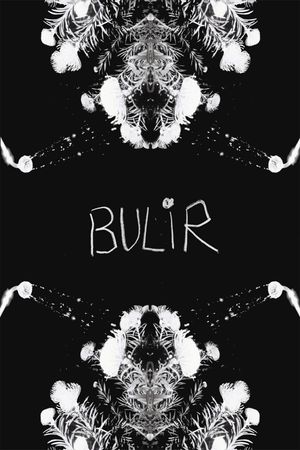 BULIR's poster image