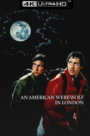An American Werewolf in London's poster