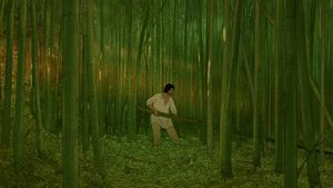 The Red Turtle's poster