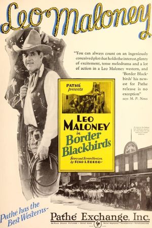 Border Blackbirds's poster