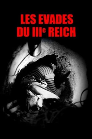Les Évadés du troisième Reich's poster