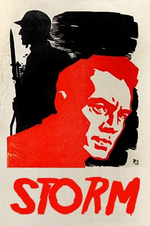 Na poroge buri's poster