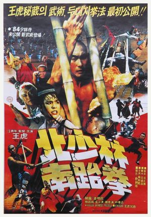 South Shaolin vs. North Shaolin's poster image