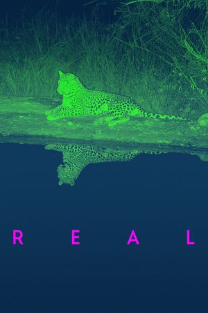 Real's poster