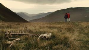 Sightseers's poster