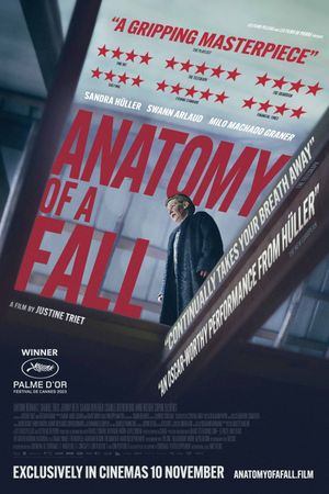 Anatomy of a Fall's poster