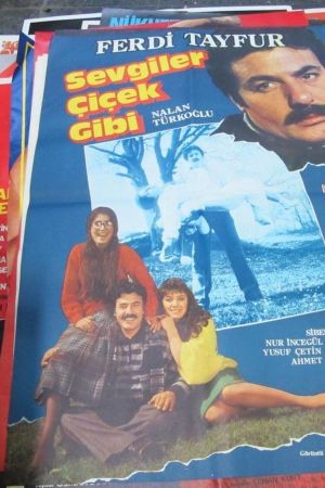 Sevgiler Çiçek Gibi's poster