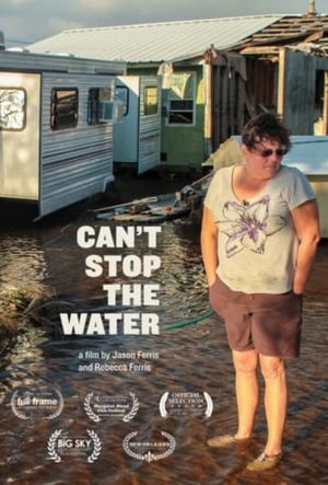 Can't Stop the Water's poster
