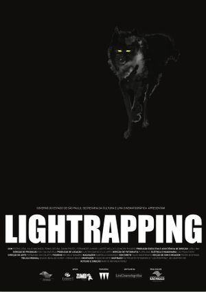 Lightrapping's poster