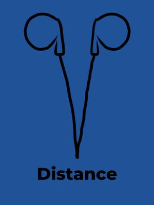 Distance's poster