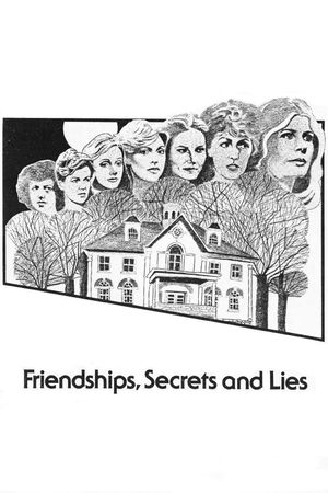 Friendships, Secrets and Lies's poster image