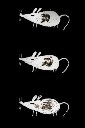 Trauma Chameleon's poster