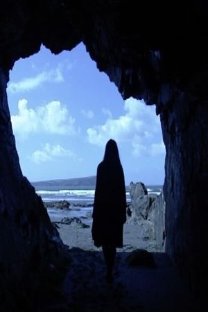 Far and Near's poster