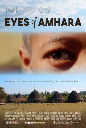 Eyes of Amhara's poster