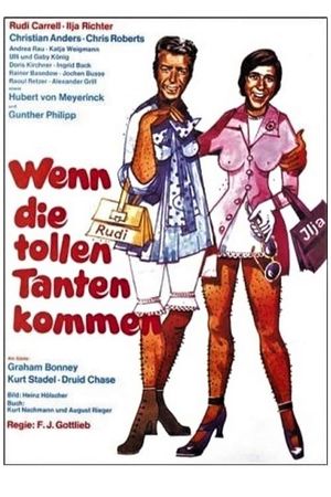 Wenn die tollen Tanten kommen's poster