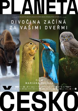 Planeta Cesko's poster
