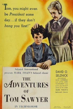 The Adventures of Tom Sawyer's poster