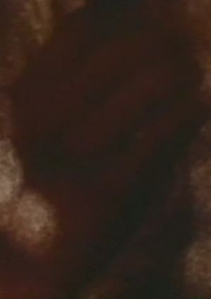 Song 5's poster