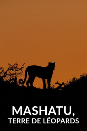 Mashatu, terre de léopards's poster