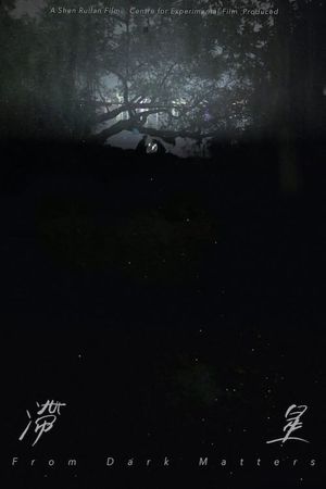 From Dark Matters's poster