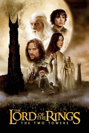 The Lord of the Rings: The Two Towers's poster