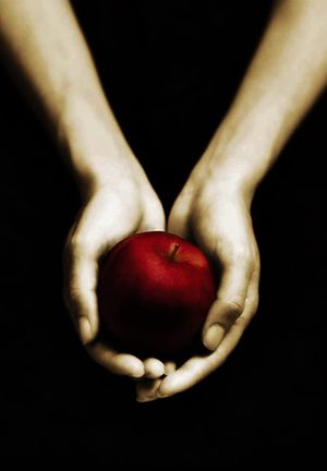 Twilight's poster