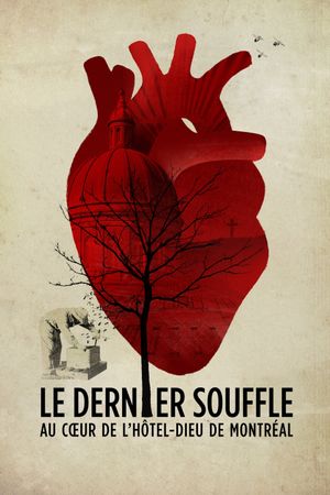 Le dernier souffle, au cœur de l'Hôtel-Dieu de Montréal's poster