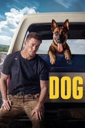 Dog's poster