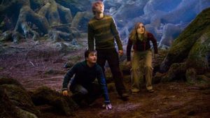 Harry Potter and the Order of the Phoenix's poster