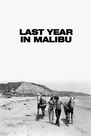 Last Year at Malibu's poster