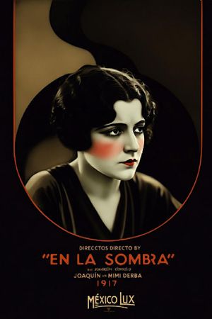 En la sombra's poster