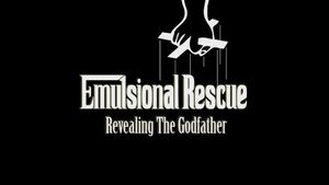 Emulsional Rescue: Revealing 'The Godfather''s poster
