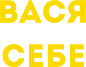 Vasya ne v sebe's poster