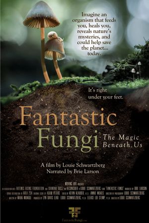 Fantastic Fungi's poster