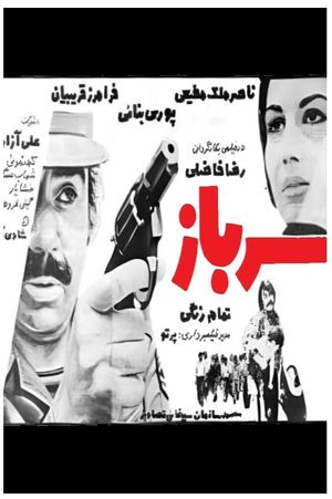 The Soldier's poster