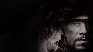 Lone Survivor's poster