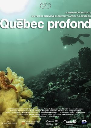 Deep Québec's poster