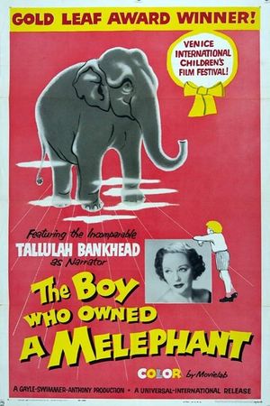 The Boy Who Owned a Melephant's poster