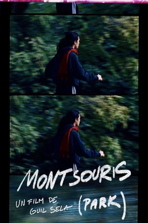 Montsouris Park's poster