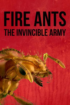 Fire Ants 3D: The Invincible Army's poster