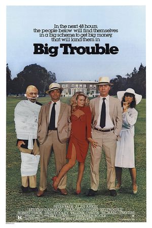 Big Trouble's poster
