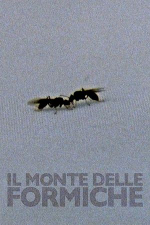 Il monte delle formiche's poster