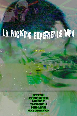 La_F0cking_Experience.mp4's poster