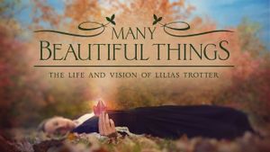 Many Beautiful Things's poster
